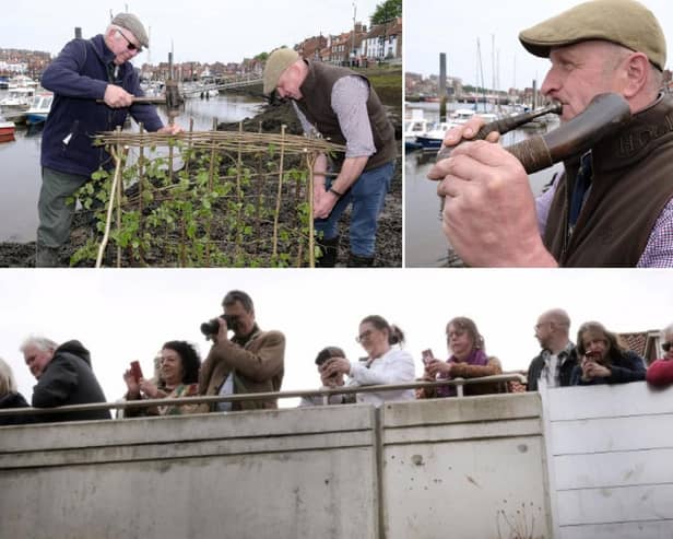 Pictures from the planting of the Penny Hedge in Whitby.