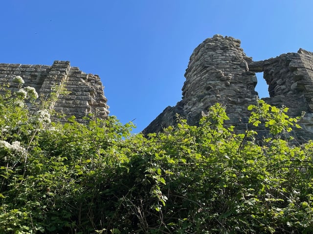 Dawn Humphrey snapped this interesting picture of the boundary wall at Scarborough Castle.