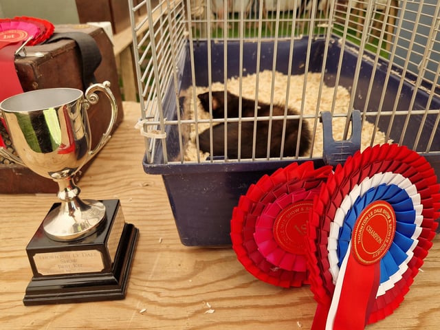 Rosettes were awarded in abundance