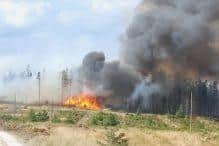 The fire covered an area of five square kilometres
