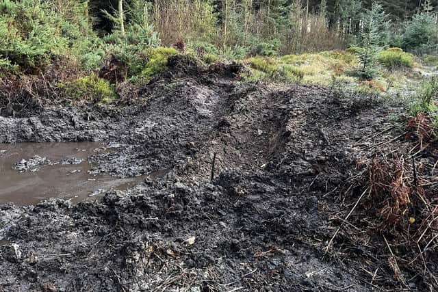 Damage caused by 4x4s in Wykeham Forest.