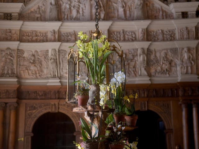 The Orchid Festival will be open until April 12.