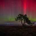 Stunning Aurora Borealis pictures on the moortops at Egton. picture: Astro Dog.