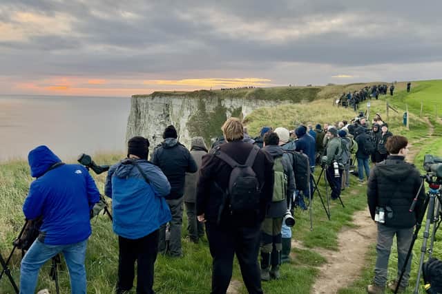 The bird, with its long saber-shaped wings and a bullet-shaped body, has been thrilling hundreds of people on the Yorkshire coast. Photo courtesy of Ivan Nethercoat