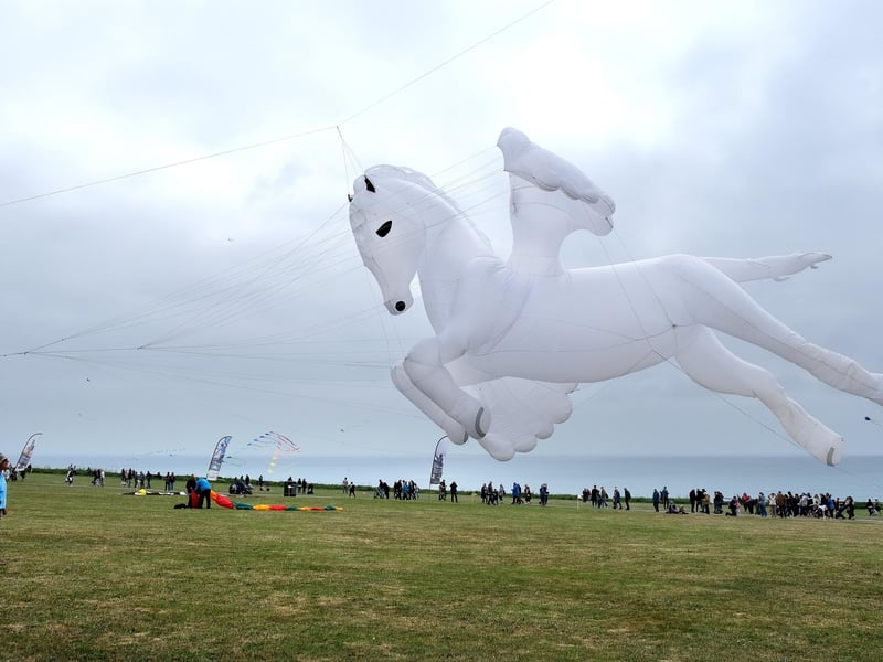 A pegasus leaps into the air.