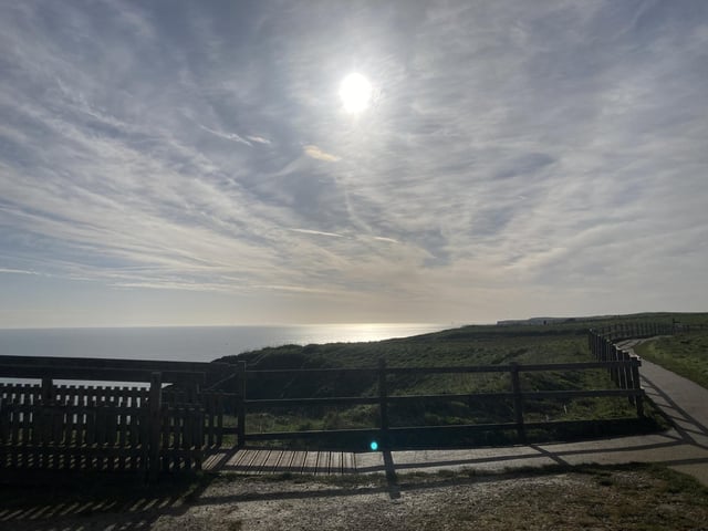 The fences around the reserve are to ensure visitors are safe on the cliffs, but also to protect the birds from human interference.