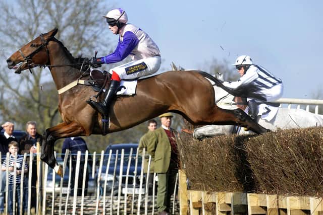Charm Park action.Picture Richard Ponter 141058e