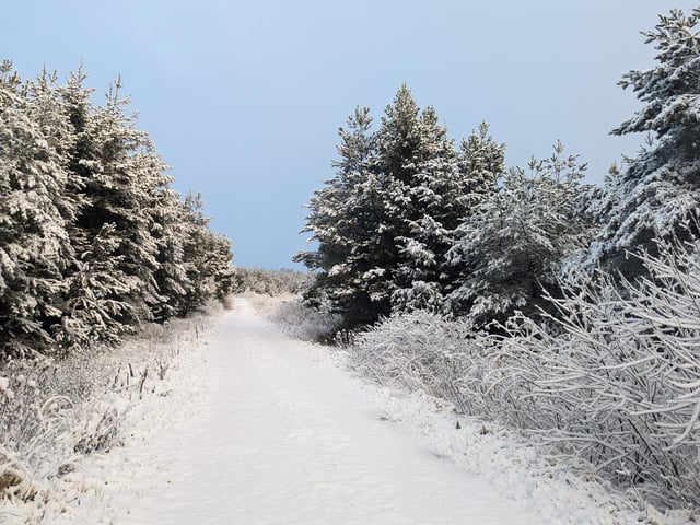 It might be cold, but it's certainly pretty.