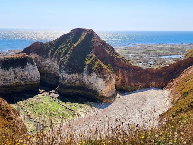 'Dinosaur' enjoying a beautiful day at Flamborough..
