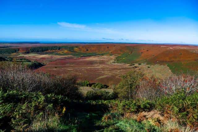 The Hole of Horcum, also known as a ‘Devil’s Punchbowl’ situated in the heart of the North York Moors. (Pic credit: James Hardisty)