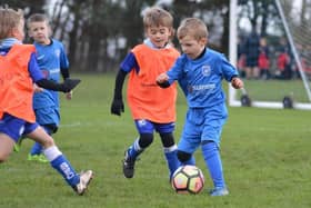 Hawks (blue kit) take on Brooklyn (bibs). Photo: Cherie Allardice