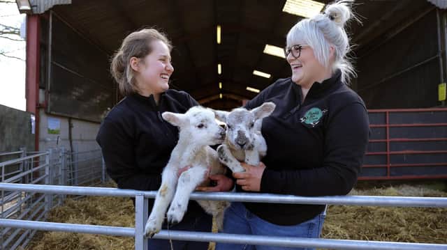 Humble Bee lambing days will be held at the Flixton farm in March