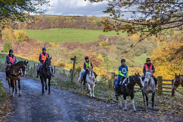 Riders on the Saint Aelred's Pilgrim Horse Trail. photo: Valerie Mather