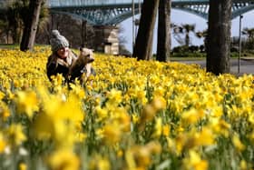 The Easter weekend is set to be breezy, cloudy, with some sporadic sunny spells according to the Met Office.  Pic: Richard Ponter