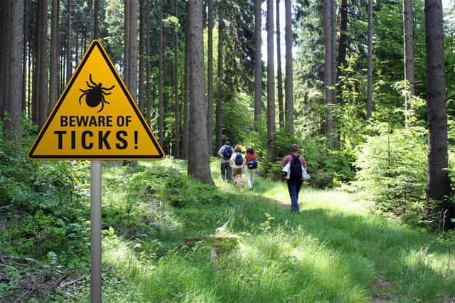 Keep to footpaths and avoid long grass when out walking. Photo: AdobeStock