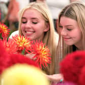 Alphie Beesley and Sarah Fraser enjoy the flowers at Danby Show in 2022.
picture: Richard Ponter
