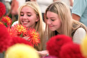 Alphie Beesley and Sarah Fraser enjoy the flowers at Danby Show in 2022.
picture: Richard Ponter