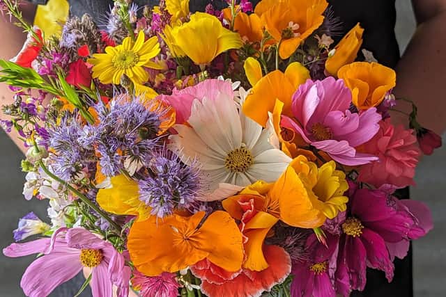 Beautiful blooms at the Flower Belt