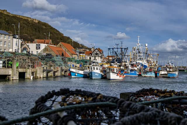Ministers must do more to support coastal areas and reverse long-term decline, the report argues.