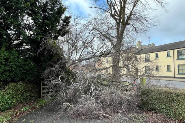 The council are warning residents and businesses to be wary of rogue traders who may target properties in the aftermath of damage caused by Storm Éowyn