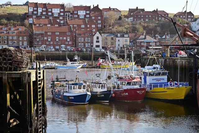 Devolution in North Yorkshire is ‘not working as planned’, the Mayor of Whitby, Coun Sandra Turner, has said