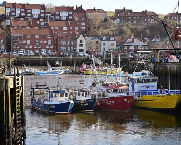 Devolution in North Yorkshire is ‘not working as planned’, the Mayor of Whitby, Coun Sandra Turner, has said