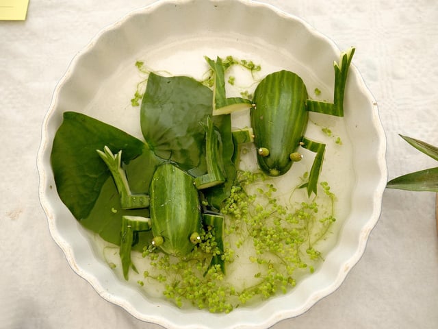 Cucumber frogs.