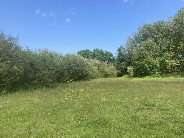 Bridlington Animal Park has plenty of seating dotted around for visitors to take in the beautiful scenery, as well as the beautiful animals.