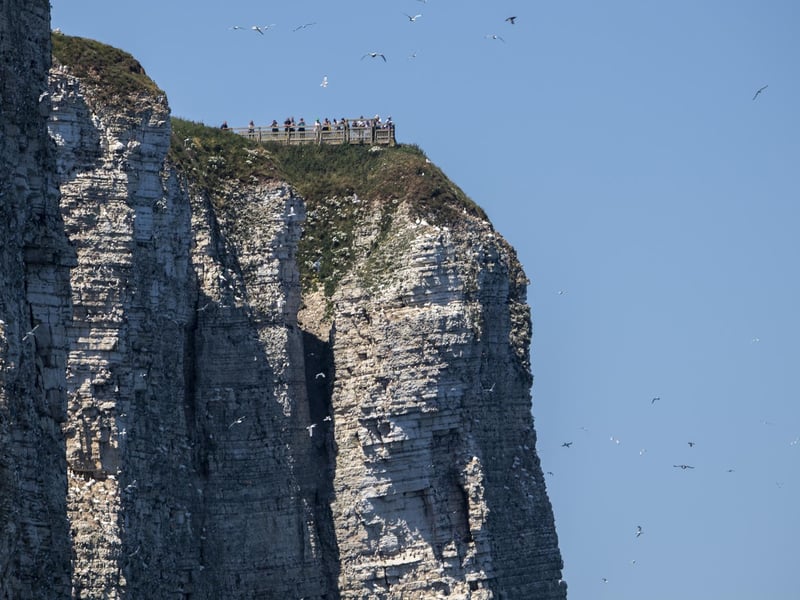 Visitors to the RSPB centre can rent a backpack with binoculars and spotters guides, which can help young people get excited about bird identification. Bempton Cliffs is home to gannets, kittiwakes and even puffins. There are well-maintained walking paths including some that even the smallest legs will manage too.