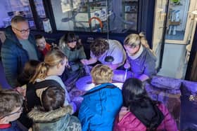 Hatchery Technician Joe Moody shows school children some very young juvenile lobsters.