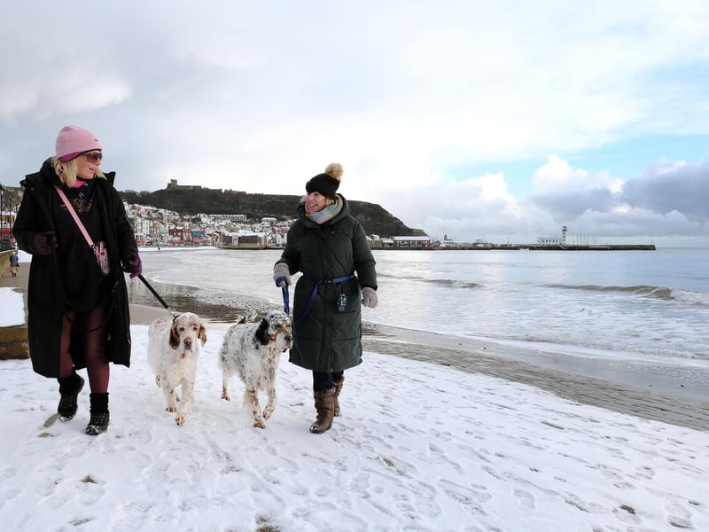 Enjoying a walk in the snow!