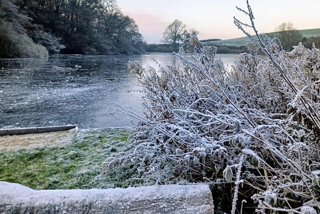 Winter picture taken at Throxenby Mere, Scarborough, by Jennifer Prior.