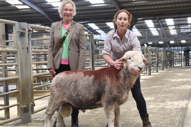 Champion Rae breed sheep a Herdwick from Hayley Bird with judge Helen Wray. Photo credit: Adrian Legge Photography