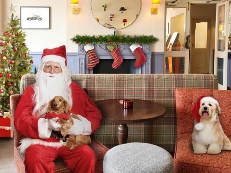 'Santa Paws' is set to take place at The Bareca at Bike & Boot Leisure Hotels, 1-6 Cliff Bridge Terrace, Scarborough on December 10. The annual doggie Christmas event will be held between 11am - 2pm. Come and meet Santa Paws and have a go on our Lucky Dip - there's one for children and for dogs £5 a go, or free if you eat in the Bareca that day.