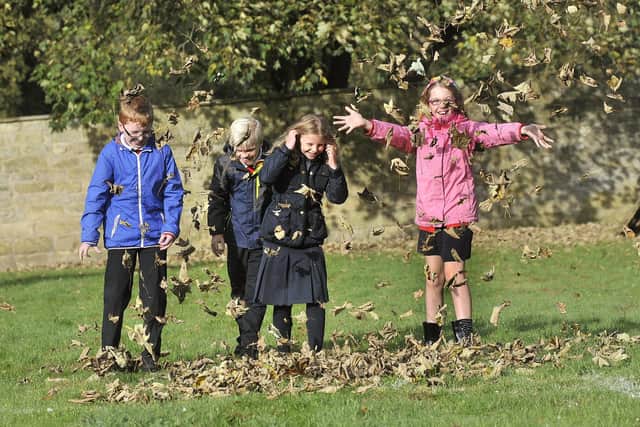 This weekend is set to be crips, fresh and chilly with lots of autumn sun. Photo: Richard Ponter