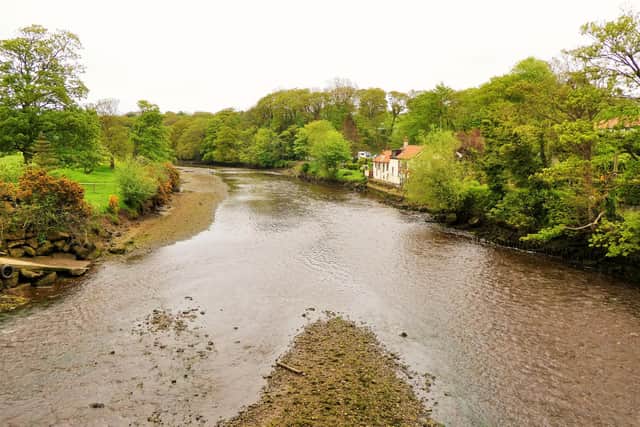 The River Esk, which runs through Ruswarp, showing the view past the Chainbridge Cafe.