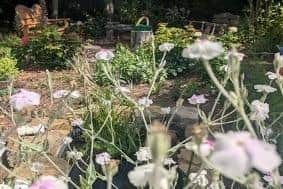 Whitby Coliseum is hosting a Grow Your Own workshop.