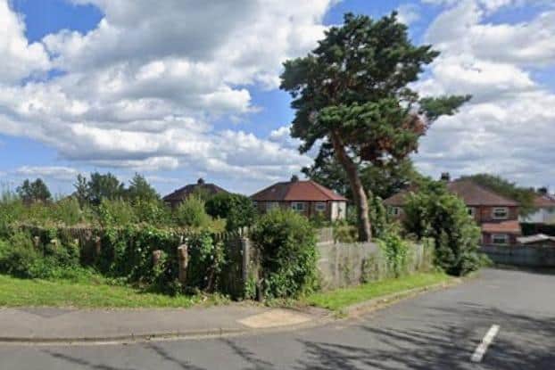The tree at 79 Cross Lane, Newby. photo: Google Maps (2023)