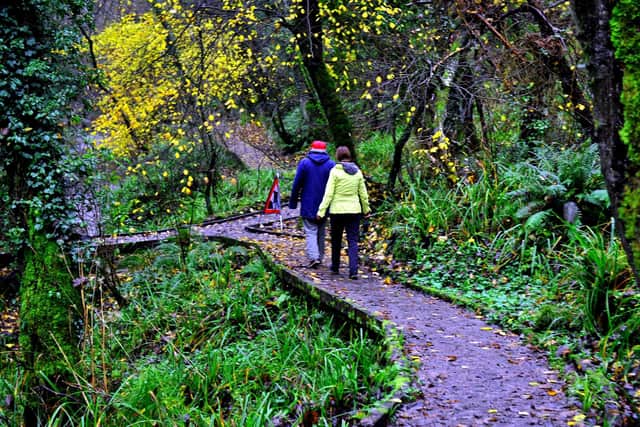 Scarborough’s Raincliffe Woods get Christmas makeover with events for children