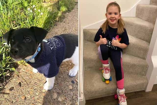 10K Any Way fundraiser - pictured here are Oscar the puppy and eight-year-old Sophia.