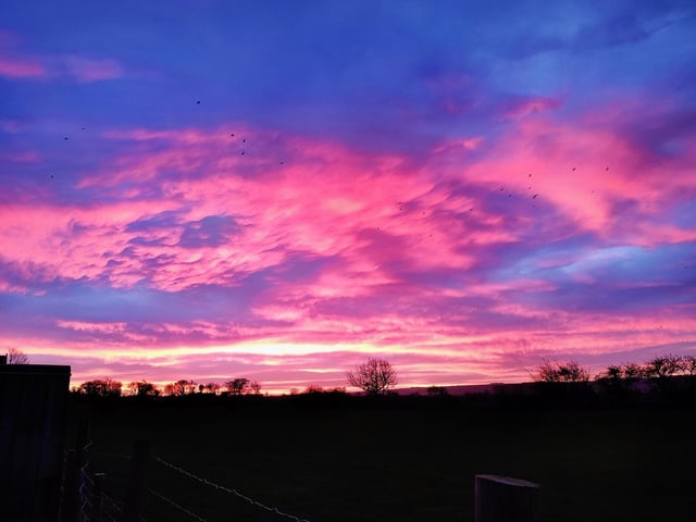 Photo submitted by Wendi Pattison.