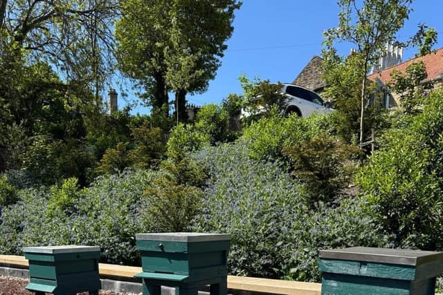 Beehives in Auckland Palace's Walled Garden