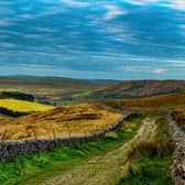 View from the foot of Pen-Y-Ghent along the bridleway towards Horton in Ribblesdale in the Yorkshire Dales National Park. (Pic credit: Tony Johnson)