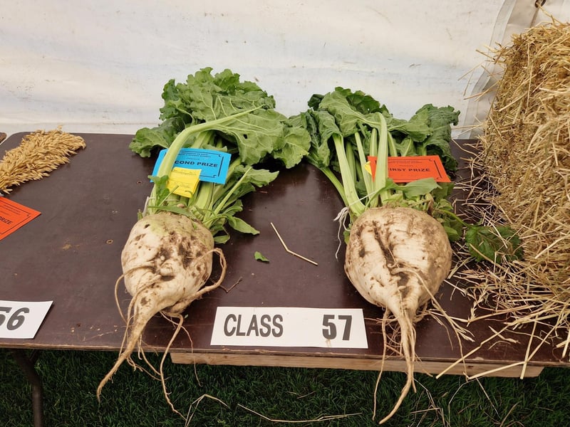 The great big enormous turnips...