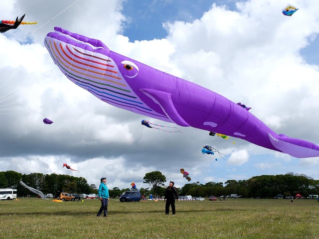 Andy Desadeleer and Vee Griffiths amongst the awesome kites.