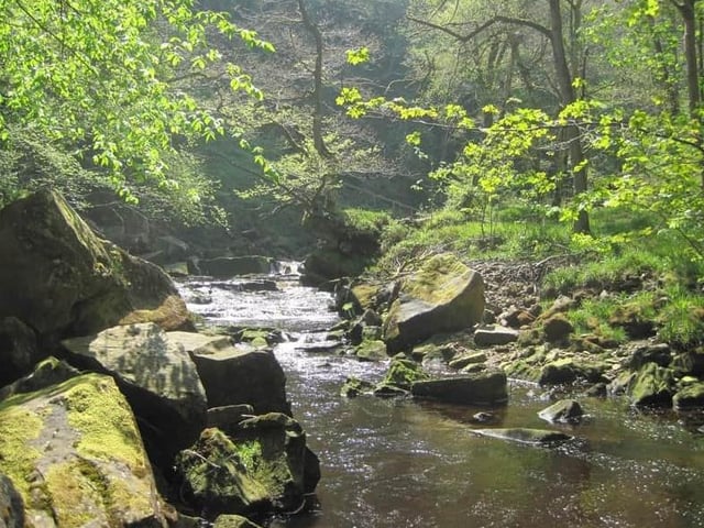 Mallyan Spout Waterfall, or the 'hidden treasure of Goathland', is the tallest waterfall along the North York Moors. There is parking available near the shops within Goathland, and then it is a 3km walk to the waterfall which will be a stunning background for your romantic proposal.