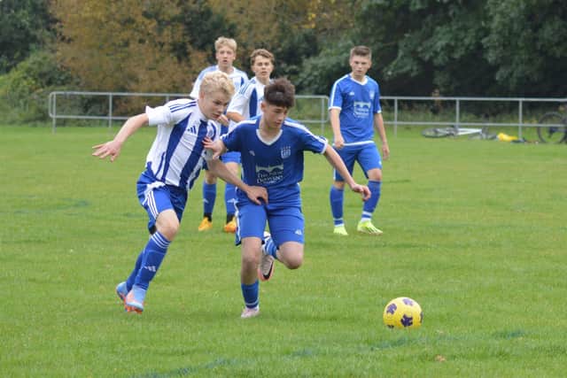 Heslerton Hedgehogs in action.