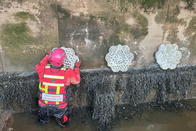 Artificial habitats being installed in Whitby.