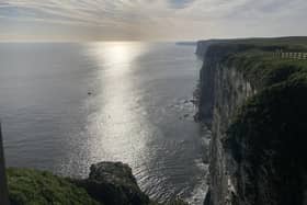 The RSPB reserve at Bempton Cliffs is staying open, however it has released guidance for visitors while the site is investigated for an outbreak of 'Bird Flu'.