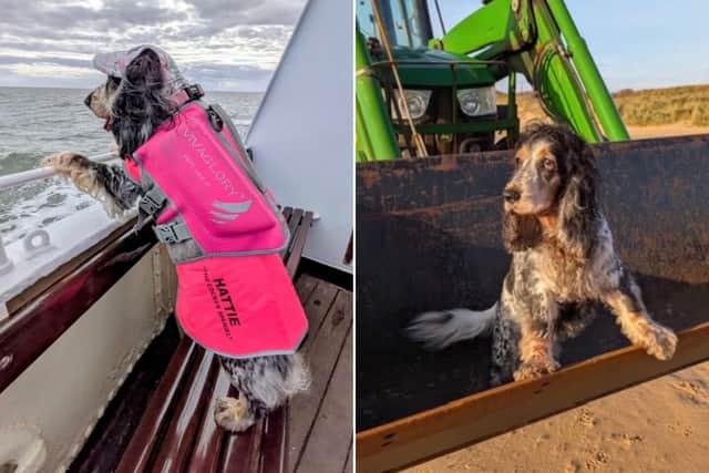 Hattie on board the Yorkshire belle and taking a trip the tractor that cleans up the beach at Wilsthorpe.